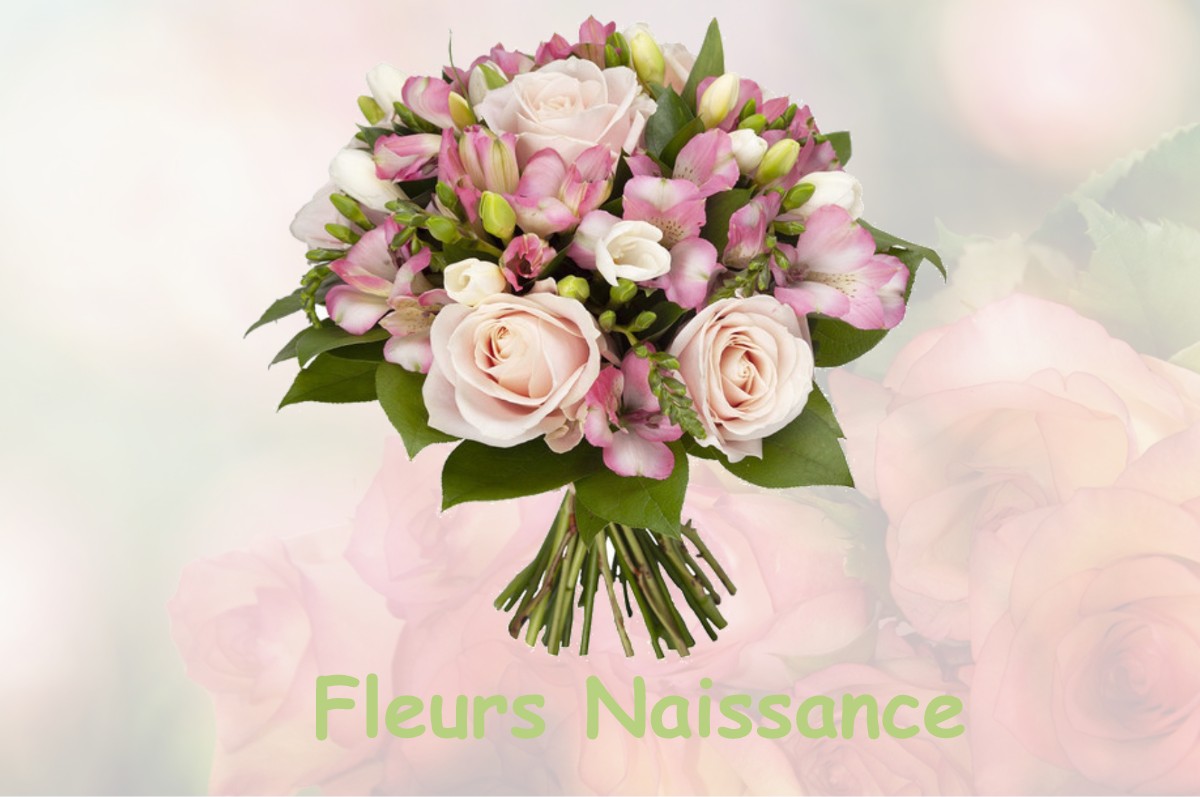 fleurs naissance SAINT-PIERRE-DE-LAGES