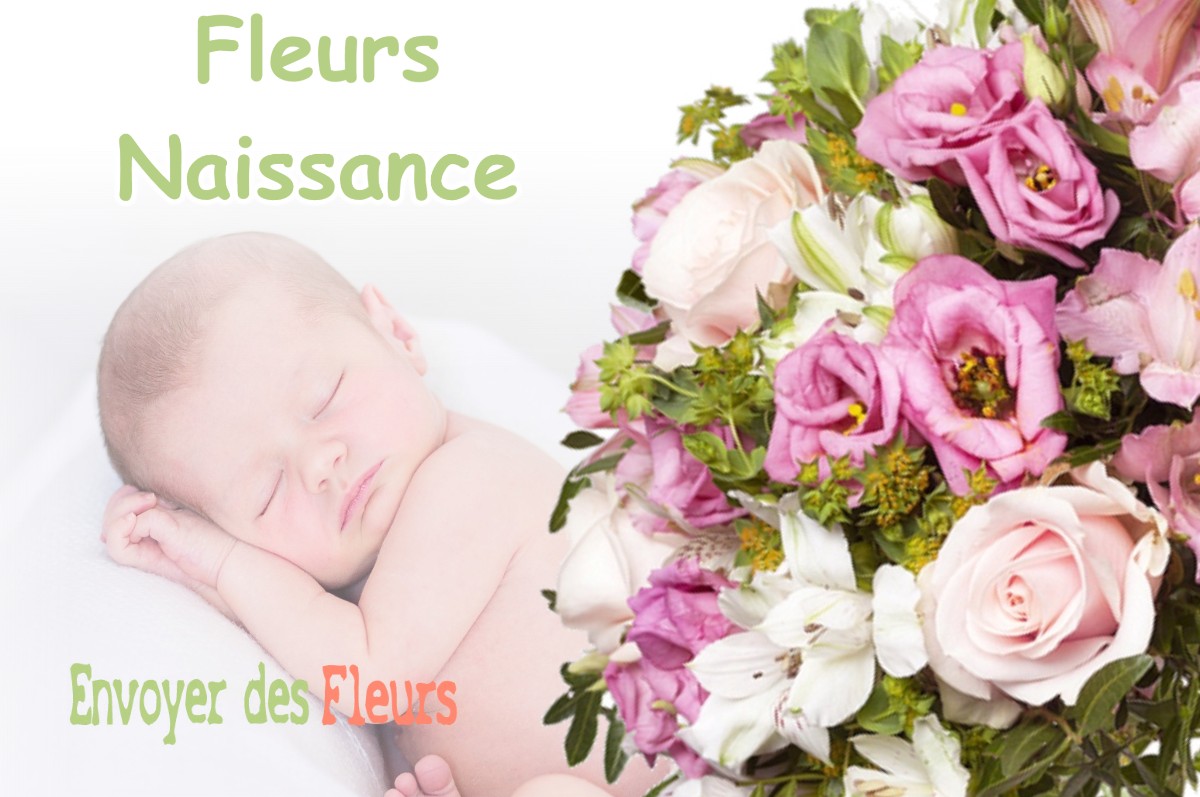 lIVRAISON FLEURS NAISSANCE à SAINT-PIERRE-DE-LAGES